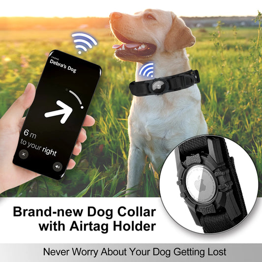 PawsFiesta™ AirTag Dog Collar